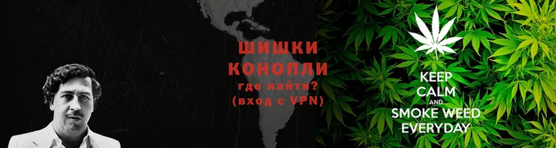 Что такое Кандалакша Канабис  Кокаин  Псилоцибиновые грибы  МЕФ  СК 